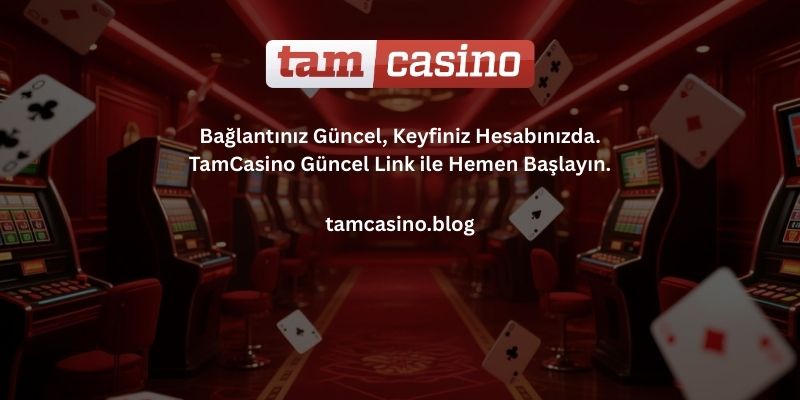 Tamcasino_guncel_link