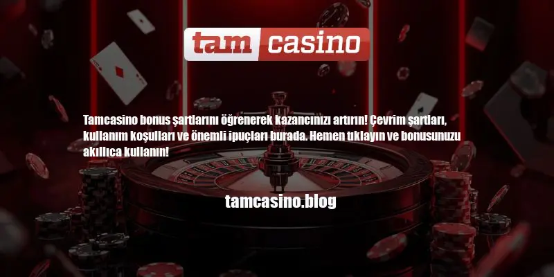 Tamcasino Bonus Şartları