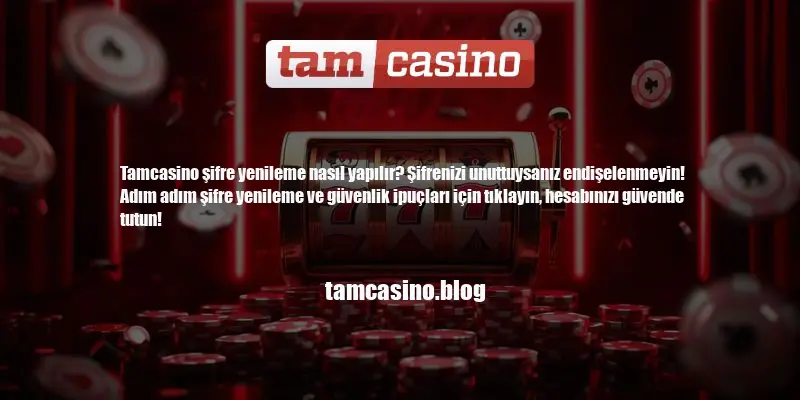 Tamcasino Şifre Yenileme