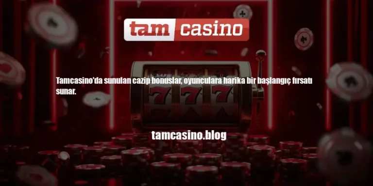 Tamcasino Bonus Şartları Nelerdir