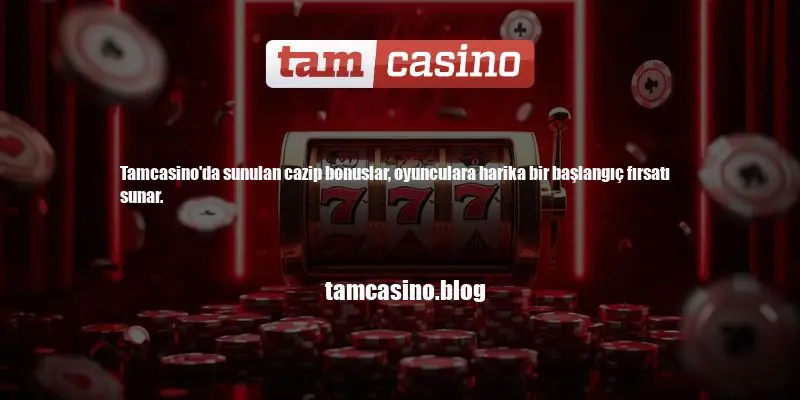 Tamcasino Bonus Şartları Nelerdir