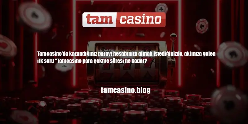 Tamcasino Para Çekme Süresi Ne Kadar