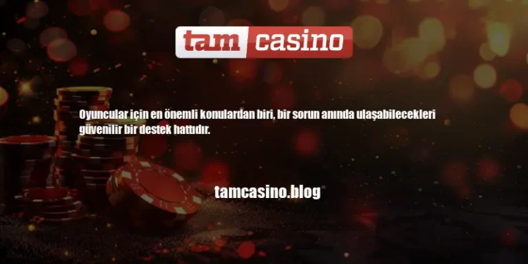 Tamcasino Destek Hattı 7/24 Mi