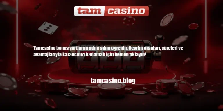 Tamcasino Bonus Şartları