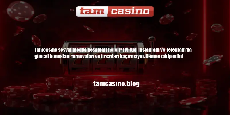 Tamcasino Sosyal Medya Hesapları Neler