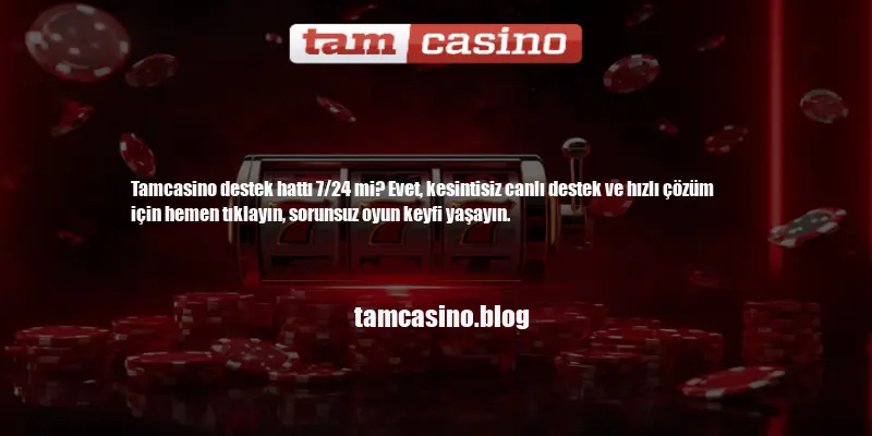 Tamcasino Destek Hattı 7/24 Mi